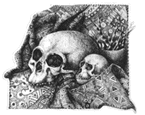 Skulls - etching