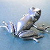 Brooch - Frog