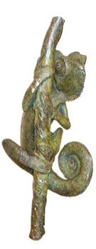 Bronze Chameleon