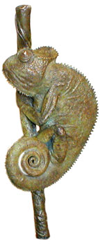 Bronze Chameleon